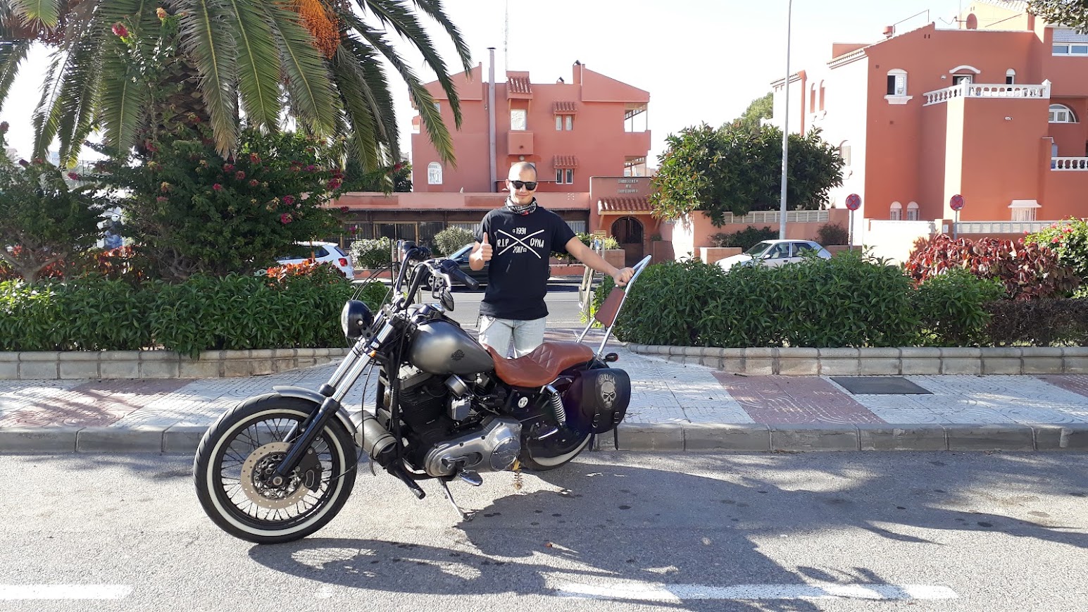 Vista lateral con alforja clubstyle y parte trasera de la Dyna