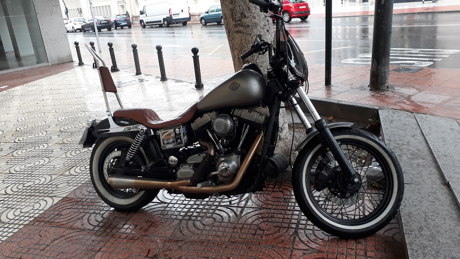 Vista general de la Dyna en configuración clubstyle